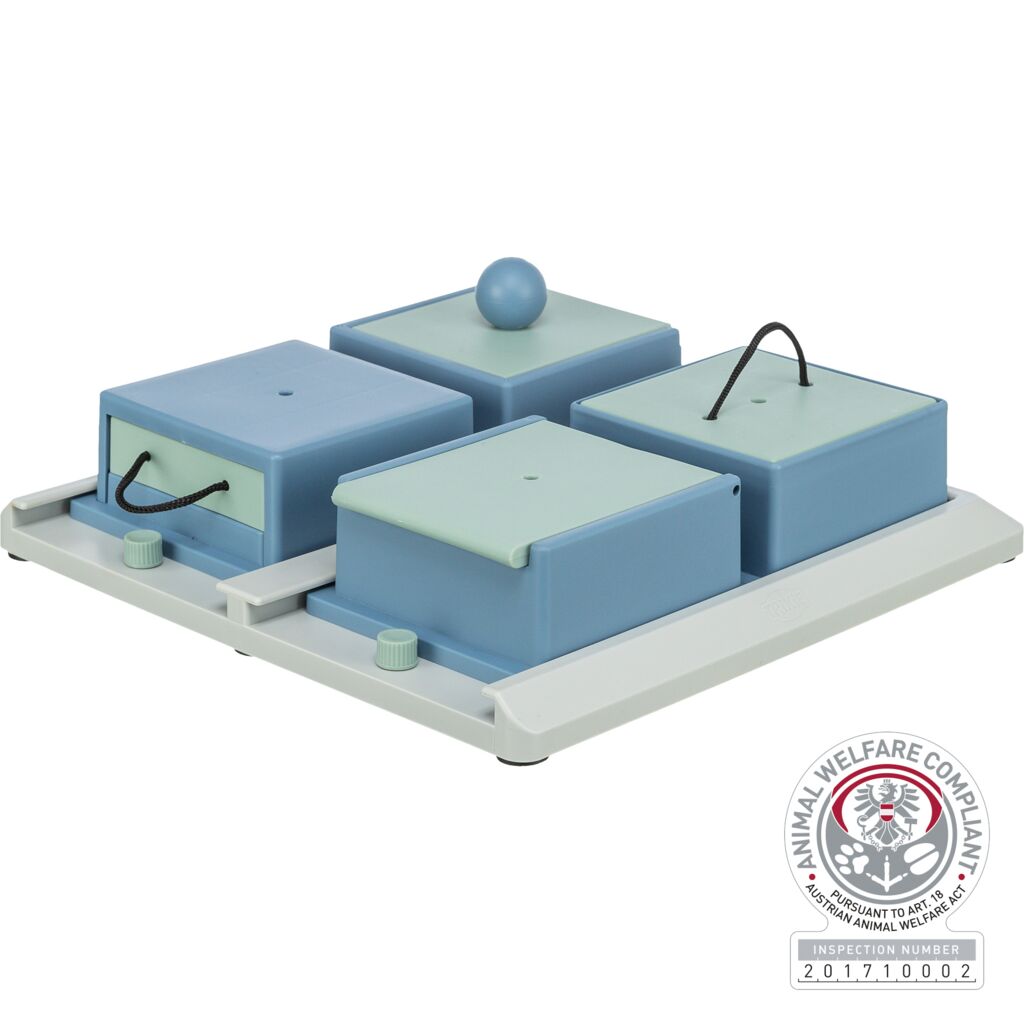 Dog Activity Strategie-Spiel Poker Box 1